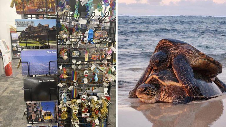 10 náhodných zaujímavých fotografií z internetu #257: Netopier na predlaktí alebo muž v zmrzline