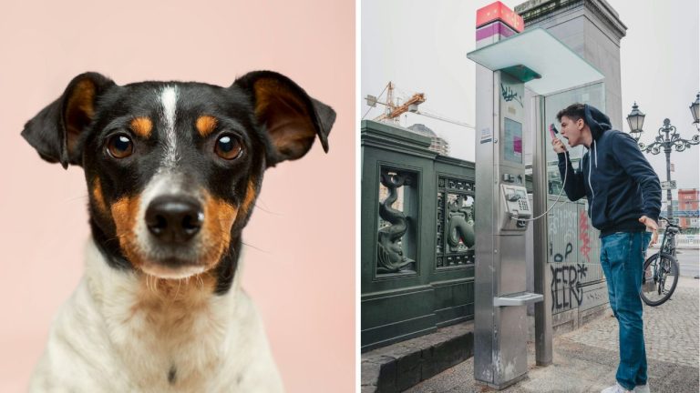 Hnev pod lupou: 10 prekvapivých faktov o emócii, ktorú všetci dobre poznáme