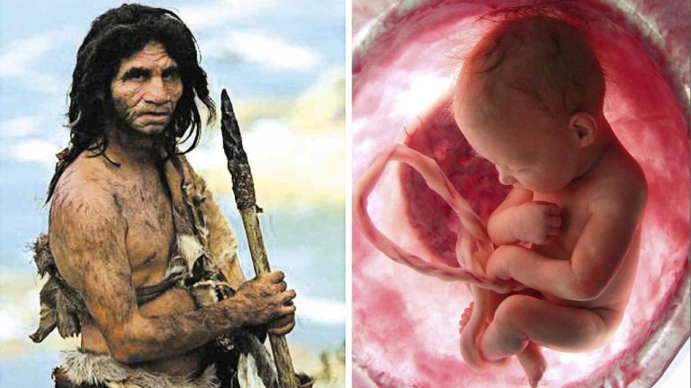 Tajomstvo neandertálcov: čo odhalil 55 000-ročný plod o ich zániku?