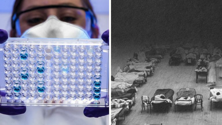 10 dôvodov, prečo by sme nemali podceňovať vírusy ani v modernej dobre