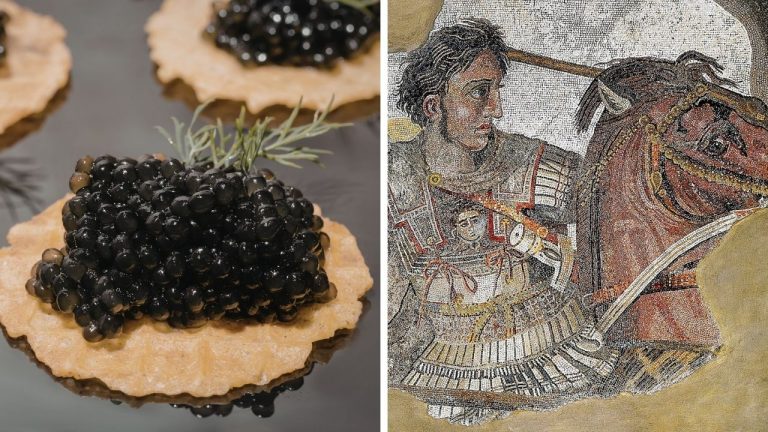 Zaujímavosti ku káve, ktoré ti rozšíria obzory #2412 – kaviár má prísne pravidlá a Alexander Veľký dal mestu meno svojho koňa