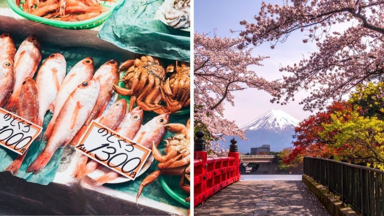 Zaujímavosti ku káve, ktoré ti rozšíria obzory #2391 – tajomstvo dlhovekosti z Okinawy a miesta, kde rozkvitá Japonsko