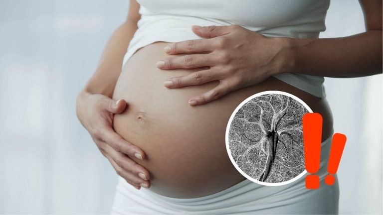 Vedci objavili nový typ buniek, ktorý sa objavuje len počas tehotenstva. Doteraz o ňom nikto nevedel