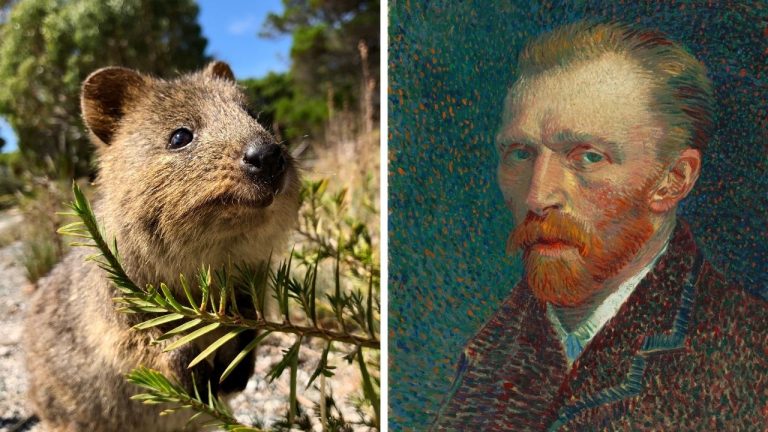 Zaujímavosti ku káve, ktoré ti rozšíria obzory #2401 – ako vznikol „Potkaní ostrov“ a prečo sa Van Gogh podpisoval len menom