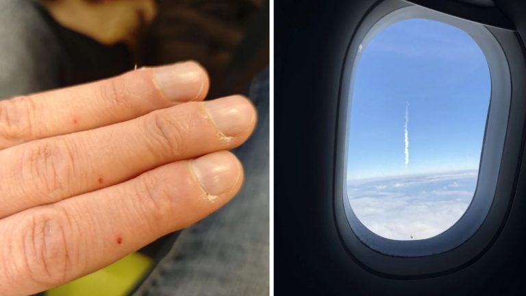 10 náhodných zaujímavých fotografií z internetu #251: Štart rakety alebo svietiace ucho psa