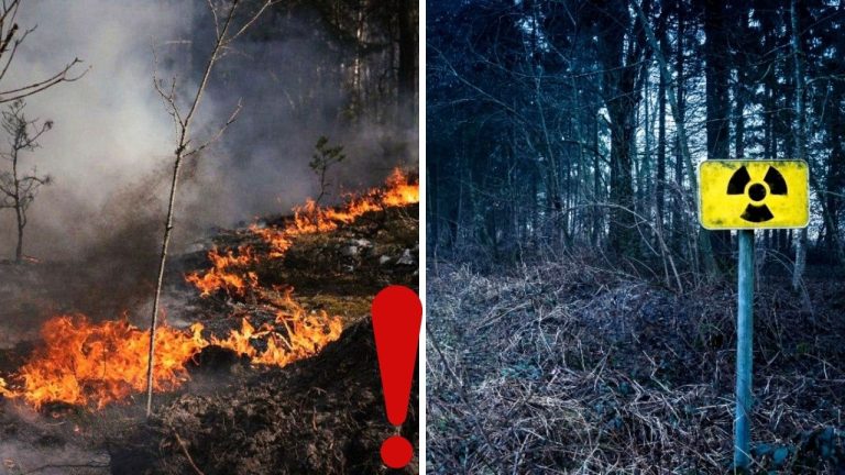 V okolí Černobyľa vypukli rozsiahle požiare: horia tisíce hektárov lesa a hrozia výbuchy mín!