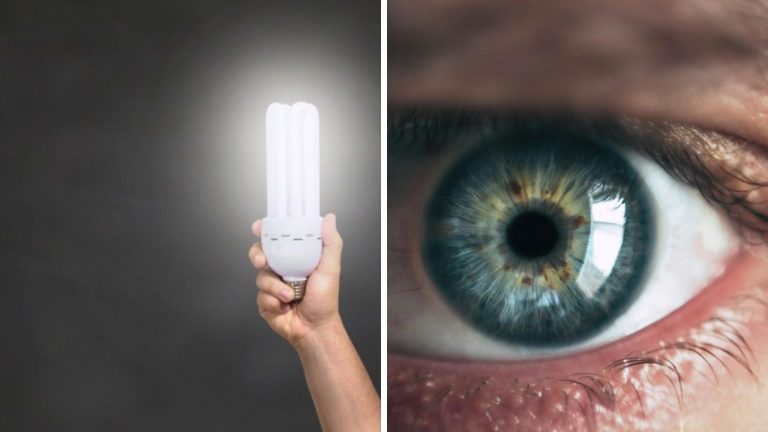 LED žiarovky vraj škodia zdraviu. Odborníci hovoria o vplyve na bunky aj zrak, no vedci upozorňujú na dôležitý detail!