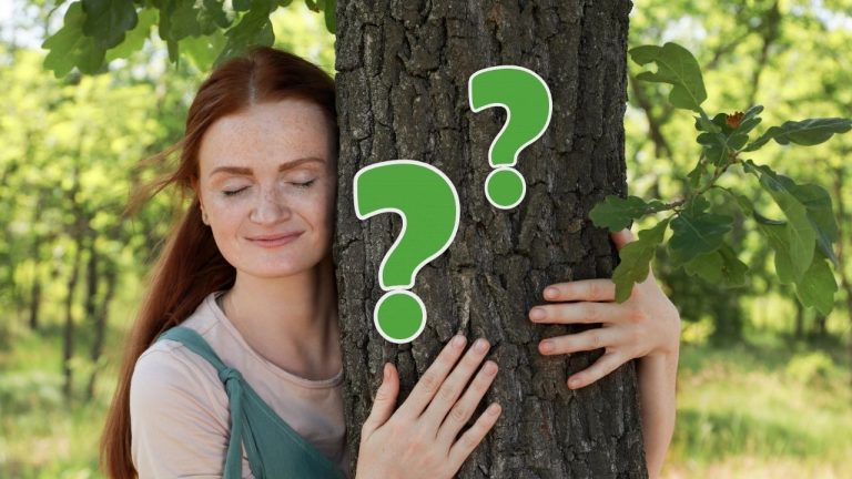 10 prírodovedných otázok o stromoch, ktoré vás preveria! Aké bude vaše skóre?