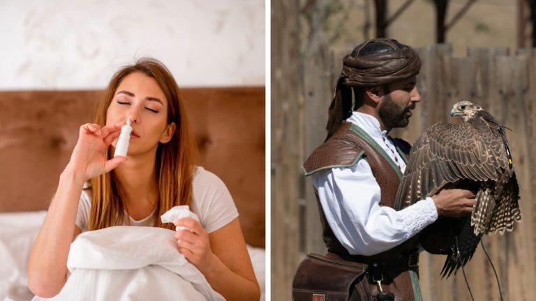 Zaujímavosti ku káve, ktoré ti rozšíria obzory #2439 – závislosť od sprejov do nosa a sokoly v Dubaji lietajú biznis triedou