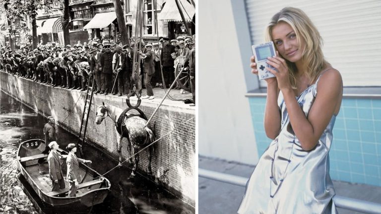 10 historických fotografií, ktoré vás vrátia do minulosti #718: Svadba počas vojny alebo doručovanie dinosaurov