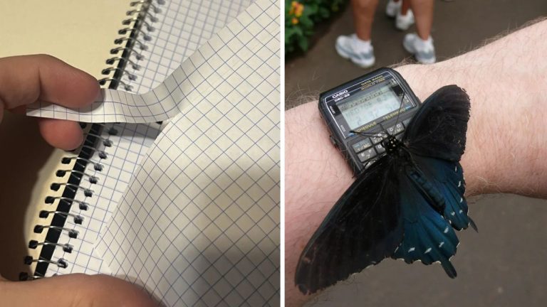 10 náhodných zaujímavých fotografií z internetu #268: Motýľ na hodinkách alebo vajce s úsmevom