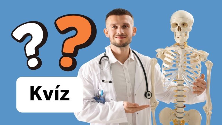 Tento kvíz z anatómie preverí, ako dobre poznáte svoje vlastné telo: Dáte ho na plný počet?