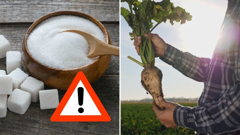 Na Slovensku zostal už len jeden cukrovar. Odborníci hovoria o poklese sebestačnosti