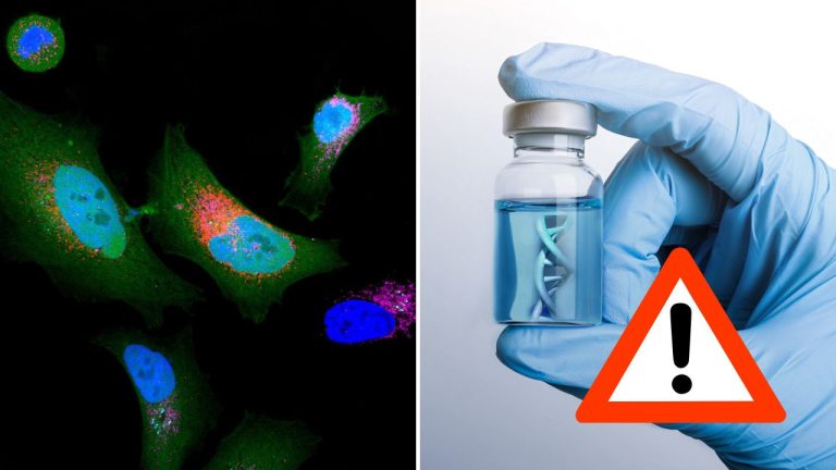 Prelomový objav v ľudskom tele: Vedci našli viac než 1 700 doteraz neznámych proteínov