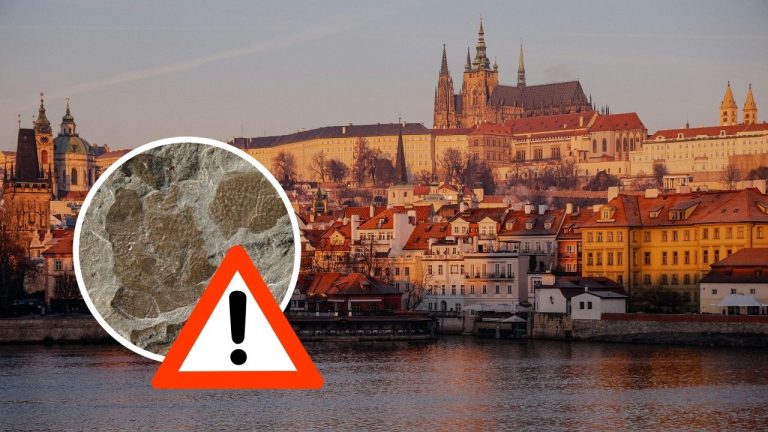 Nečakaný objav pod Prahou: V tuneli metra našli nový druh dávneho živočícha