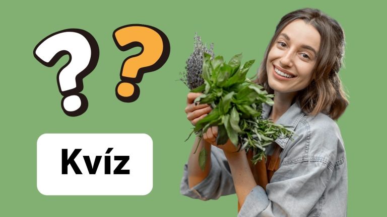 Zvládnete tento botanický kvíz bez chyby, alebo vás potrápia niektoré rastliny a kvety? Otestujte sa!