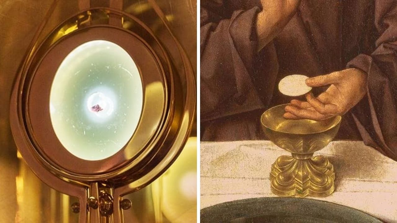 Eucharistia pod mikroskopom? Lekár skúmal uznávané eucharistické zázraky a tvrdí, že objavil prekvapujúce výsledky!