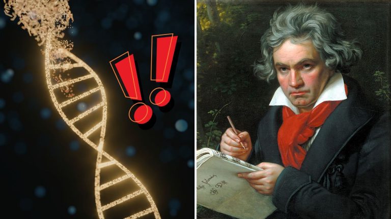 Takmer dve storočia po jeho smrti vyšli najavo nové fakty. Beethovenova DNA prekvapila odborníkov