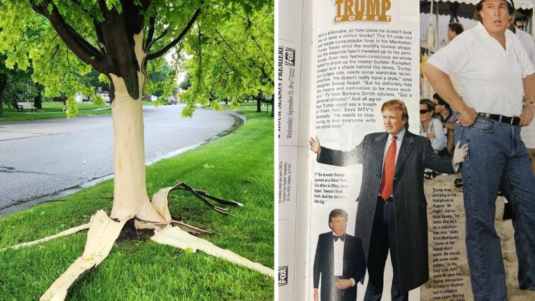 10 náhodných zaujímavých fotografií z internetu #281: Líška v plote alebo strom po zásahu bleskom