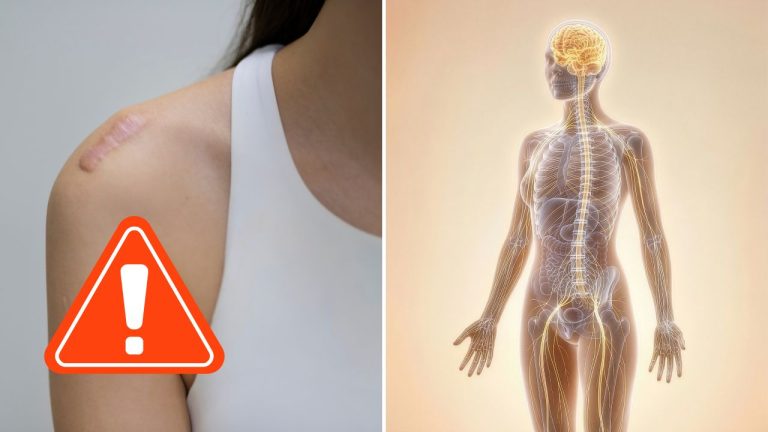 Má ľudské telo skrytú regeneračnú schopnosť? Nový výskum priniesol prekvapivé výsledky