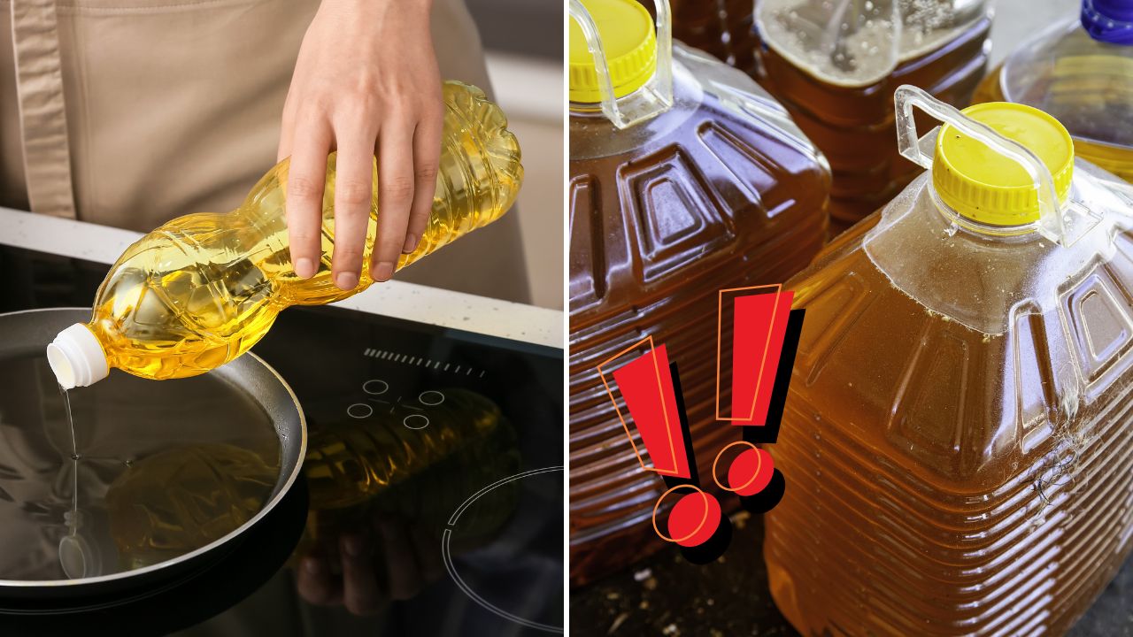 Mestá spúšťajú zaujímavú iniciatívu. Za starý kuchynský olej ponúkajú odmenu