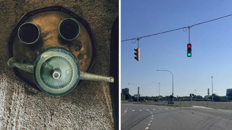 10 náhodných zaujímavých fotografií z internetu #278: 46-ročné zásoby potravín alebo latte ako gorila