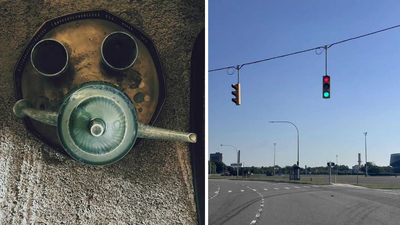 10 náhodných zaujímavých fotografií z internetu #278: 46-ročné zásoby potravín alebo latte ako gorila