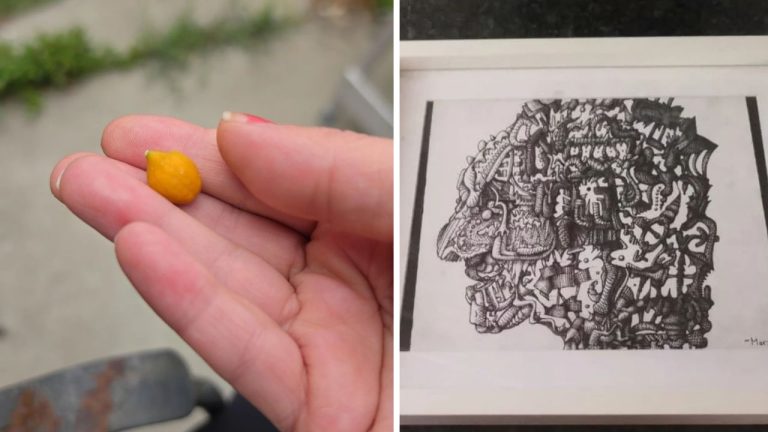 10 náhodných zaujímavých fotografií z internetu #286: Jeleň na dvore alebo vnútro stojana na palivo