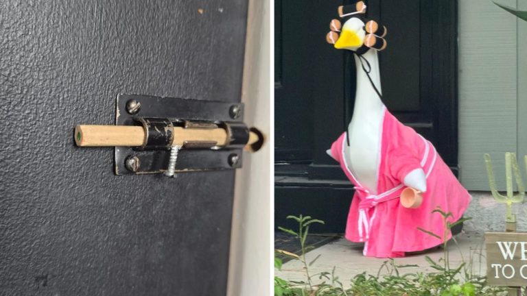 10 náhodných zaujímavých fotografií z internetu #298: Veľmi špeciálna hus alebo planéty na hodinkách