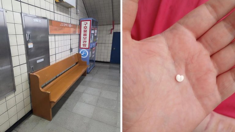 10 náhodných zaujímavých fotografií z internetu #289: Ruže dvoch farieb alebo detský budík zo Západného Nemecka