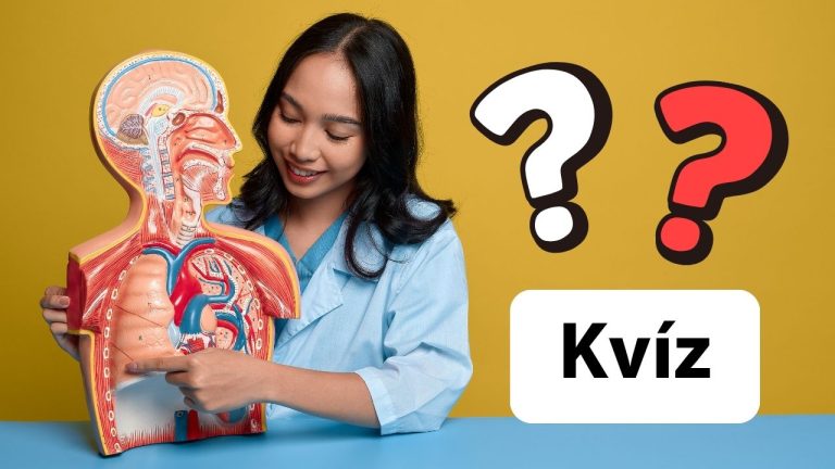 Kvíz z anatómie. Koľko toho naozaj viete o svojom tele? Otestujte sa!