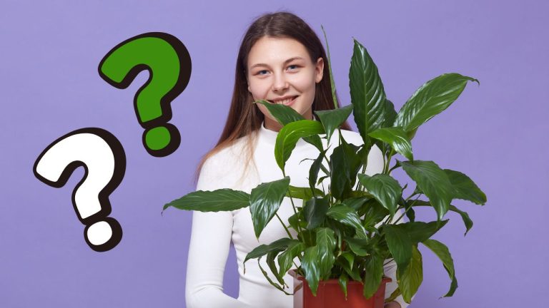 Máte radi prírodu? Potom si nenechajte ujsť tento botanický kvíz s 20 otázkami