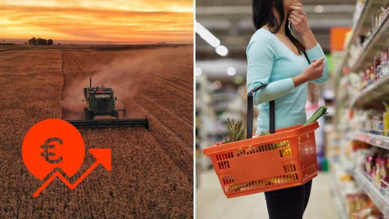 Sucho a horúčavy si vybrali svoju daň. Viacerých plodín bude menej, potraviny môžu zdražieť