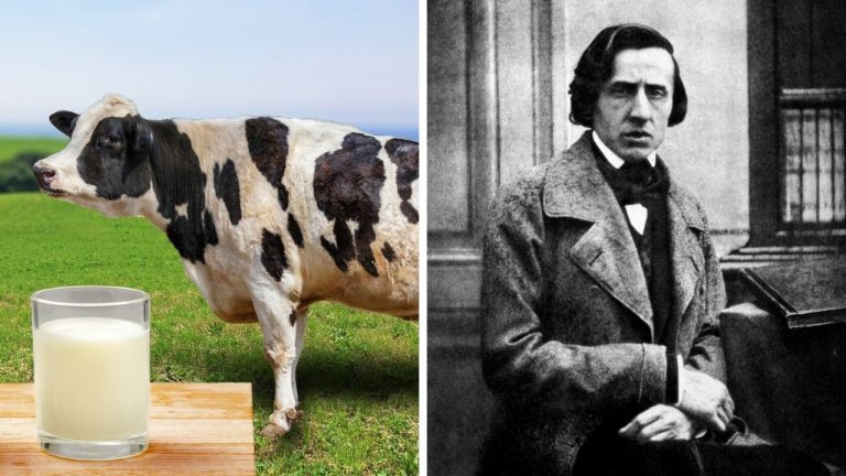 Zaujímavosti ku káve, ktoré ti rozšíria obzory #2279 – rekordná krava nadojila neuveriteľné množstvo mlieka a Chopin hrával výlučne potme