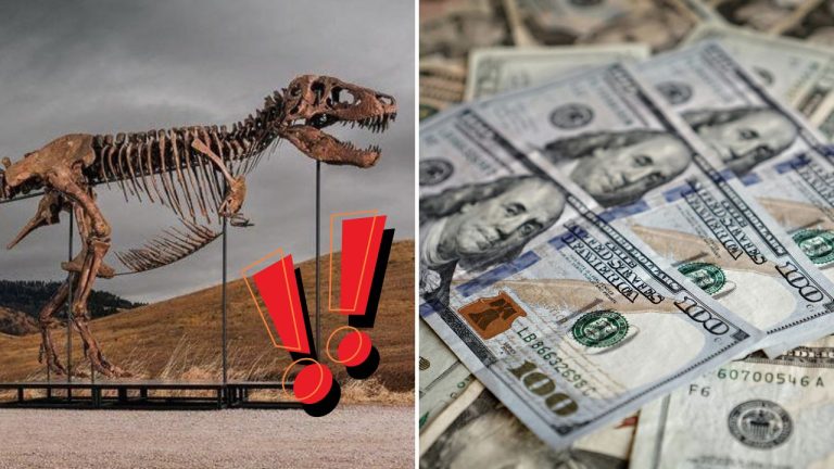 Neznámy kupec zaplatil za kostru dinosaura rekordných 50 miliónov dolárov. Ide o najdrahšiu fosíliu v histórii