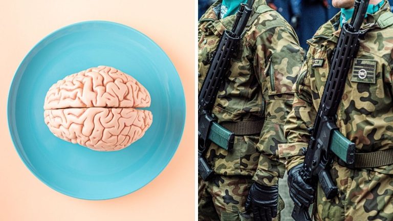 Ako ľudia skúmali inteligencia: od čítania lebky po IQ testy, ktoré stále delia svet!