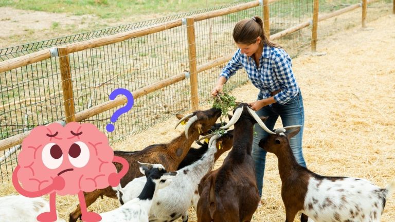 Veľký kvíz zo života na dedine: Koľko správnych odpovedí získate?