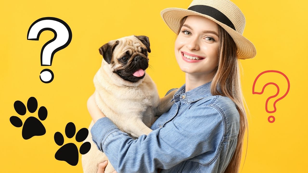 Milujete psy? Tento kvíz ukáže, či o nich viete naozaj všetko!