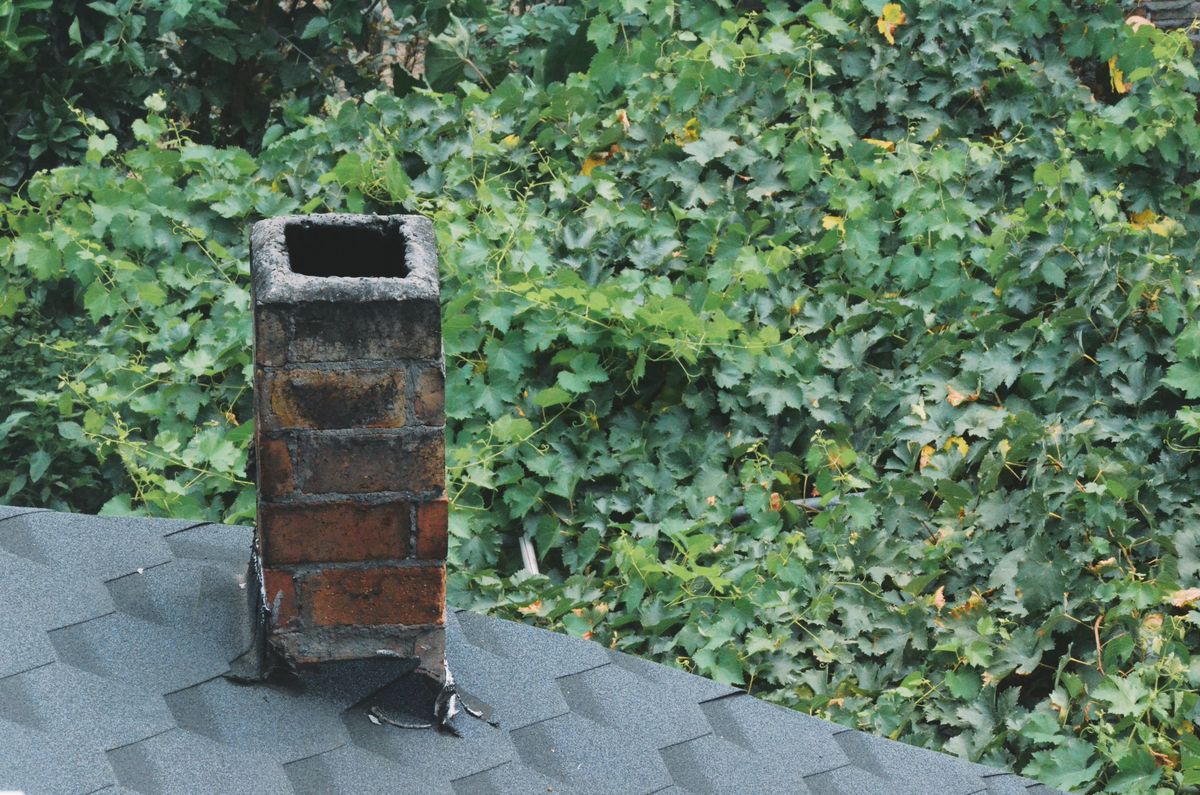 A rustic brick chimney on a shingled roof with vibrant leafy background.