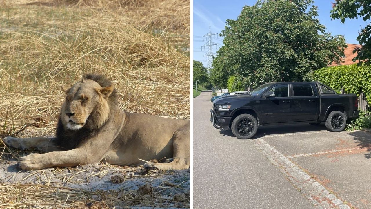 10 náhodných zaujímavých fotografií z internetu #309: Obrovský kryštál soli alebo žaba na kaktuse