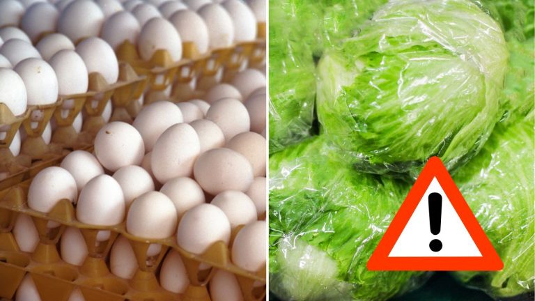 USA zažívajú nezvyčajné leto. Tisíce ľudí ochoreli po nákazách spojených s potravinami