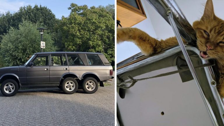 10 náhodných zaujímavých fotografií z internetu #305: Nohy po pôrode alebo paradajka v tvare čajníka
