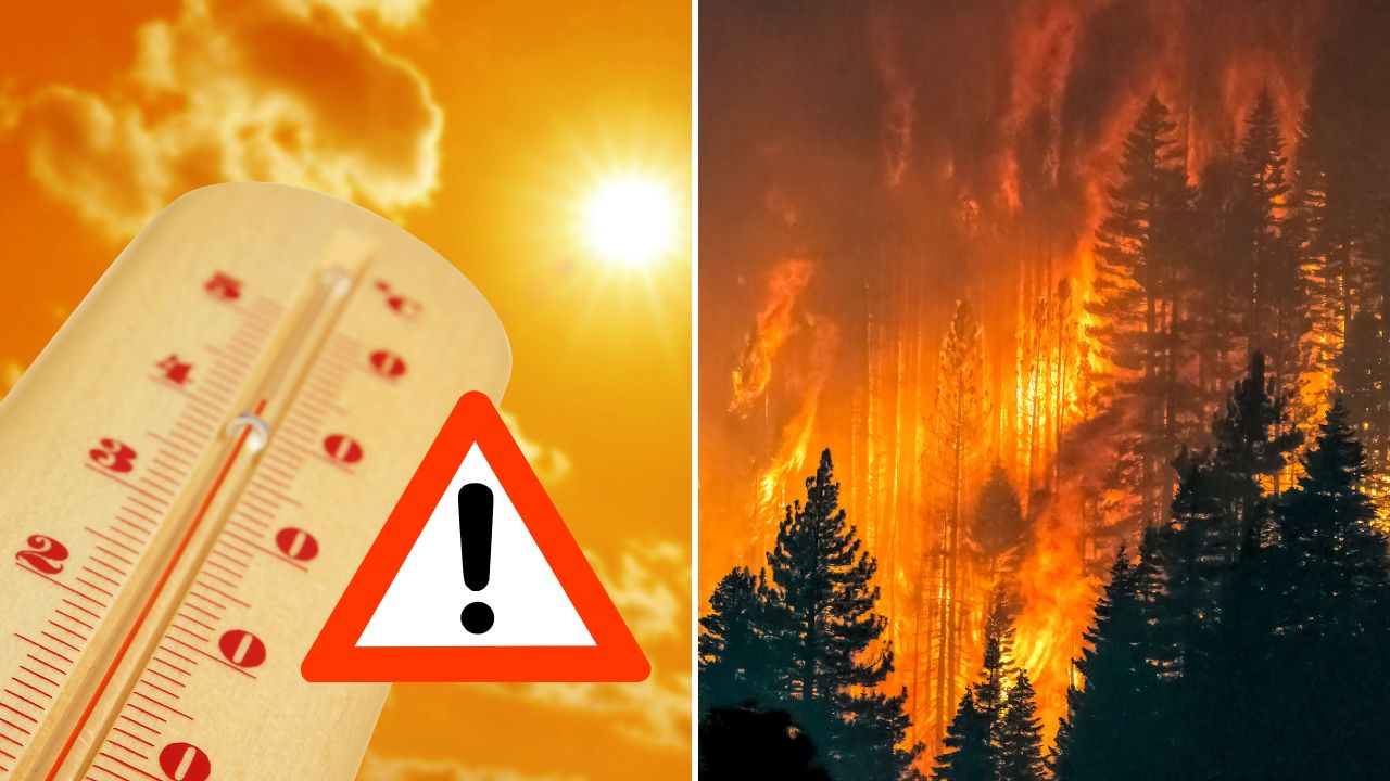 Generáciu dnešných detí čaká viac nebezpečného počasia. Vedci vypočítali rozdiel oproti starým rodičom