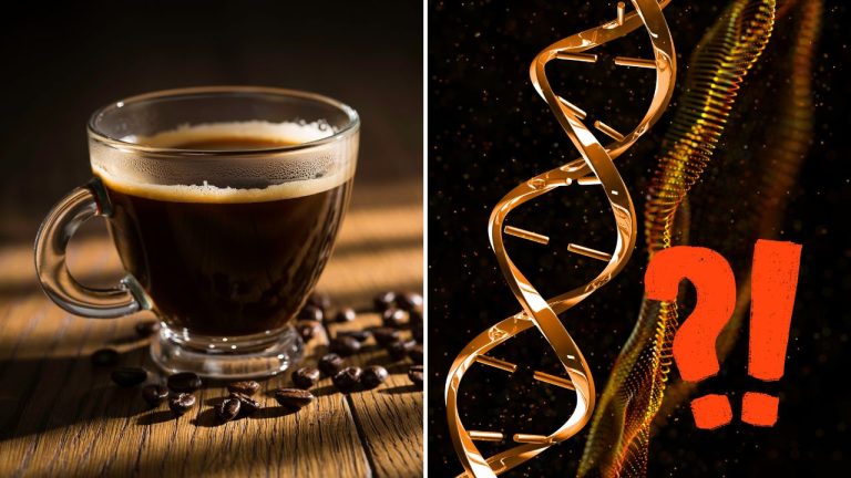 Môže kofeín spomaľovať starnutie? Nový výskum odhalil zaujímavú biologickú stopu